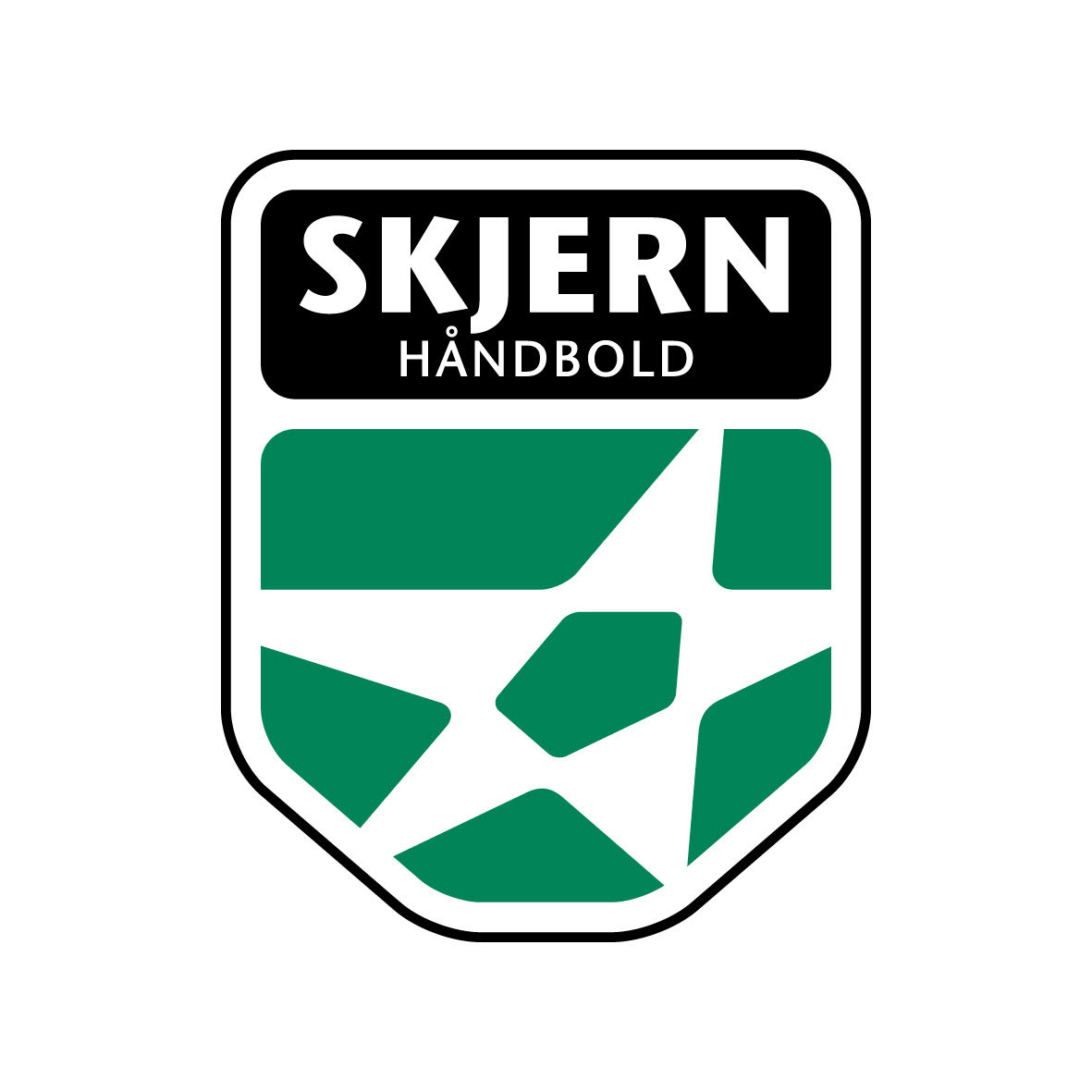 Skjern Håndbold